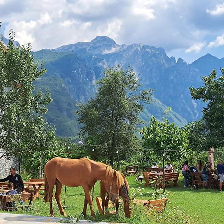 Villa Gjecaj Guesthouse And Restaurant Theth Exterior foto