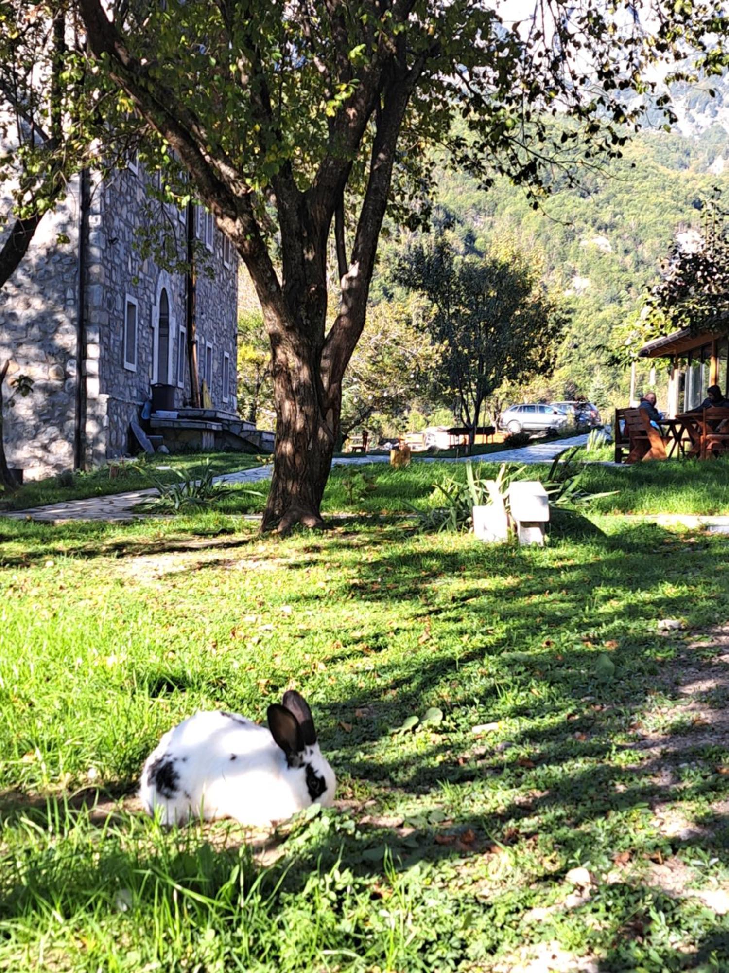 Villa Gjecaj Guesthouse And Restaurant Theth Exterior foto